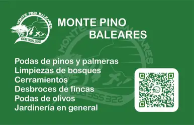 MONTE PINO BALEARES